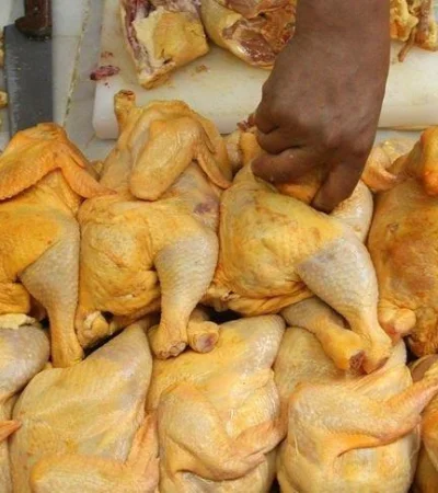 pollo-aumento