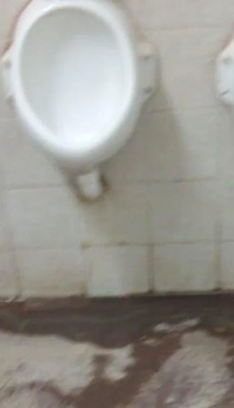 524c09bb-b538-494c-9916-2a0851fcb05e