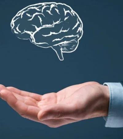 conocimiento-1-1100x640