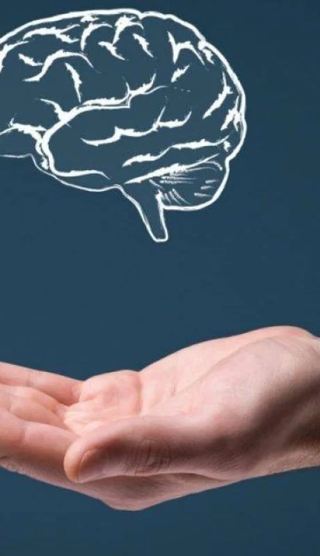 conocimiento-1-1100x640