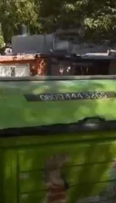 perros-matanza-fotos-faena-santa-fe-asesinato-rosario-3