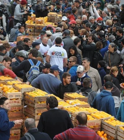 frutazo-plaza-de-mayo-reclamo-protesta-productores-frutas-y-verduras