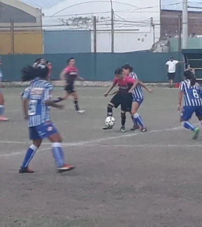 56869970_2223909717924024_3070366493779689472_o