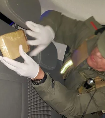 gendarmería-droga-san-juan-mendoza-perro-auto-asiento-policiales-4