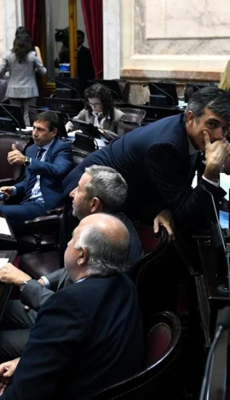 senado-ley-proyecto-financiacion-financiamiento-partidos-politicos-aprobo-media-sancion