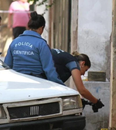 0037d2b4-5caf-407a-a65e-5b2db07de081