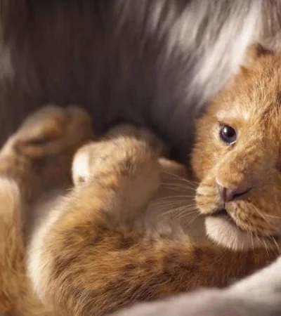 el-rey-leon-disney-live-action