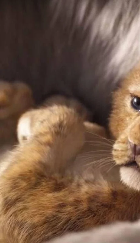 el-rey-leon-disney-live-action