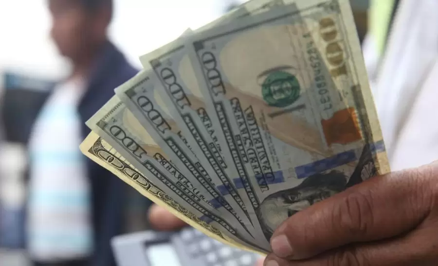 Arbolitos-Dólar-Casas-de-Cambio-1