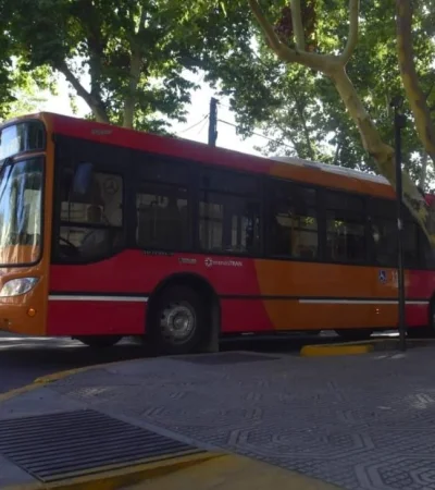 8881f253-9347-40f4-b4c1-cfd31d5c9fc4