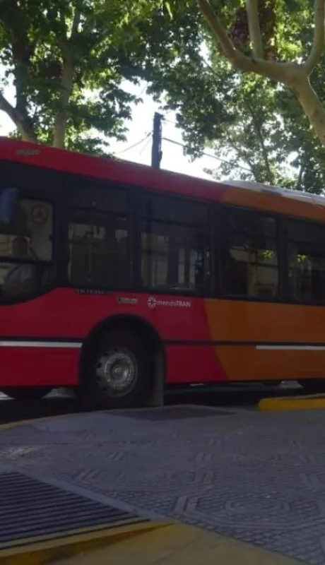 8881f253-9347-40f4-b4c1-cfd31d5c9fc4