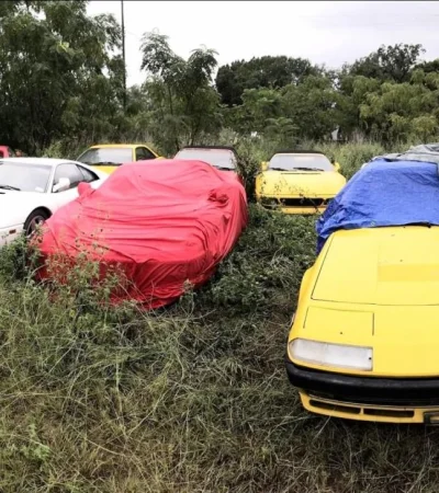 Field-Of-Abandoned-Ferraris-1600x826