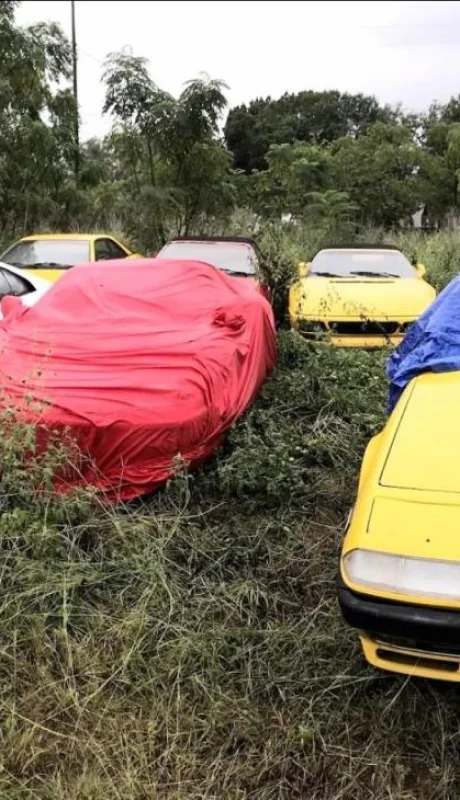 Field-Of-Abandoned-Ferraris-1600x826