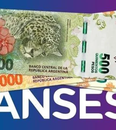 como-saber-si-depositaron-credito-anses-2019