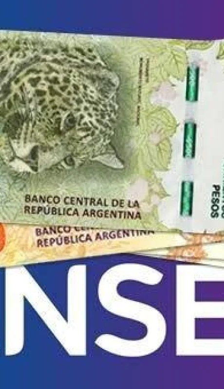 como-saber-si-depositaron-credito-anses-2019