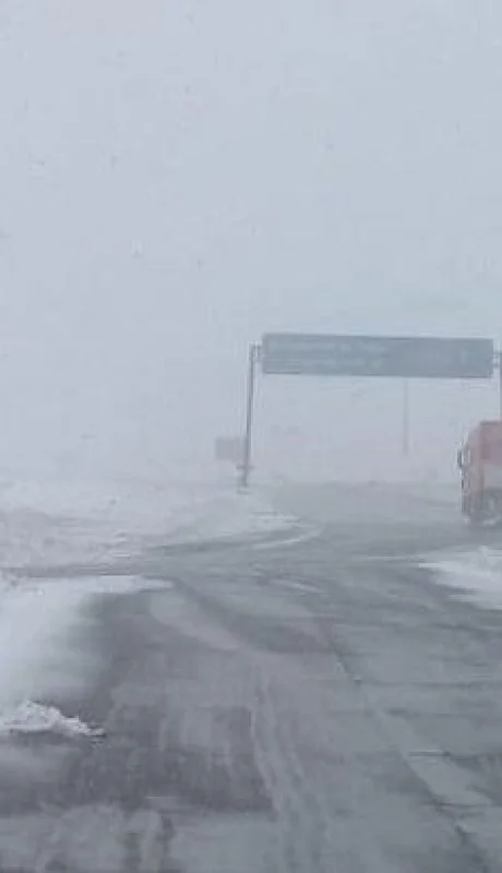 paso-internacional-2