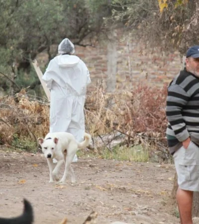 0eea7c2c-ae80-4b95-9136-00749dda45a0