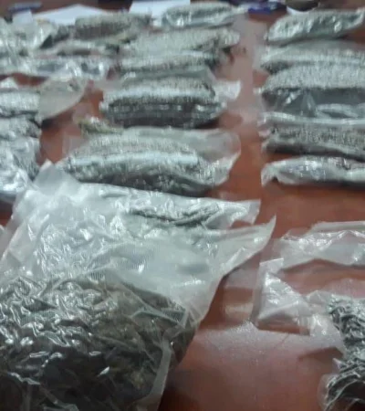 marihuana-droga-secuestro-allanamientos-bolsas-policiales