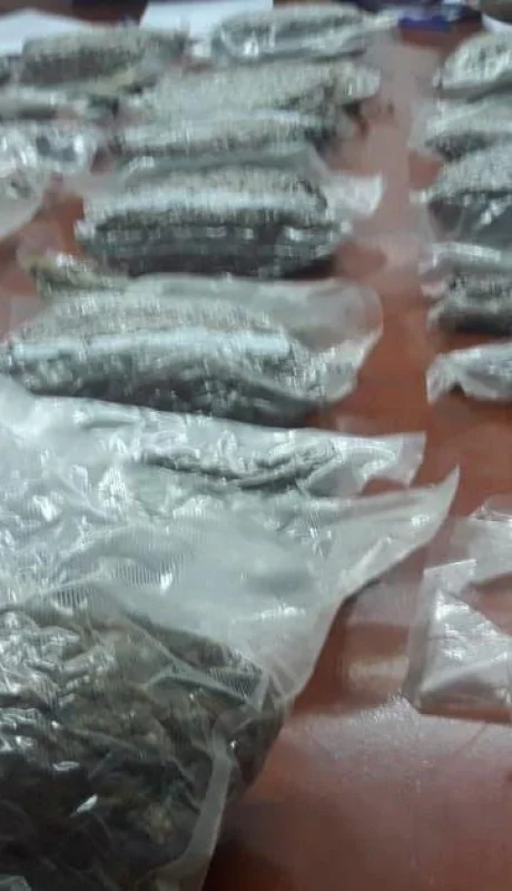 marihuana-droga-secuestro-allanamientos-bolsas-policiales