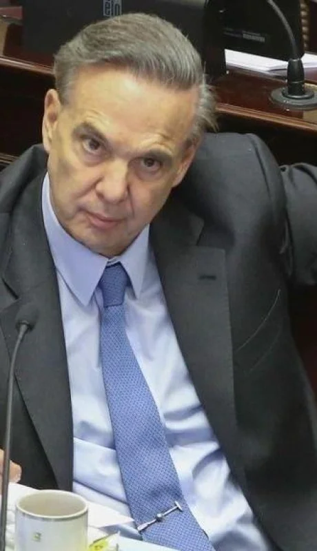 Miguel-Ángel-Pichetto--acuerdo-libre-comercio