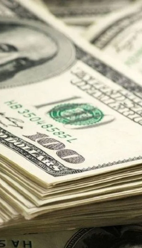 dólar-mercado-cambiario