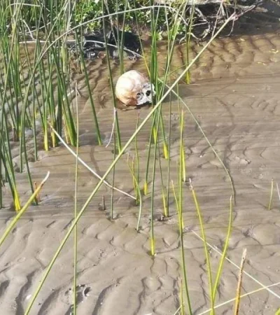 encontraron-hallaron-restos-humanos-en-punta-lara-playa-de-buenos-aires