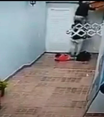 robo-bebé-brazos-buenos-aires-ladrones-video-fotos-delincuentes