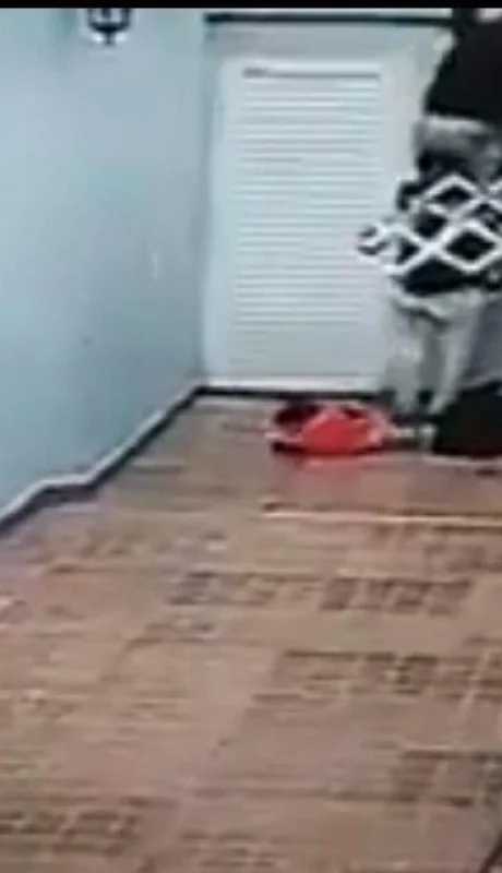 robo-bebé-brazos-buenos-aires-ladrones-video-fotos-delincuentes