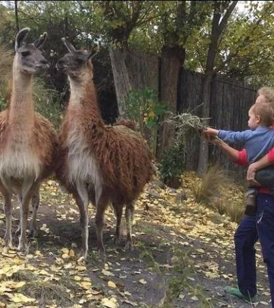 ecoparque-mendoza-argentina