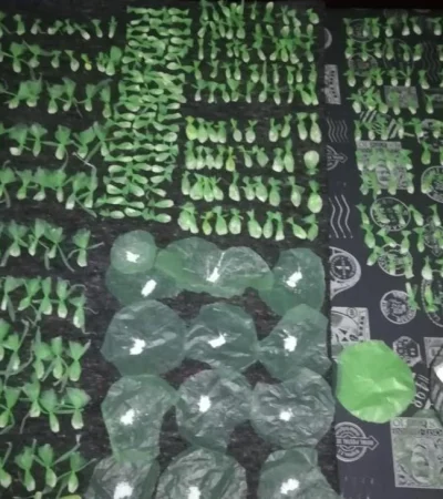 maipú-allanamientos-policiales-fotos-droga