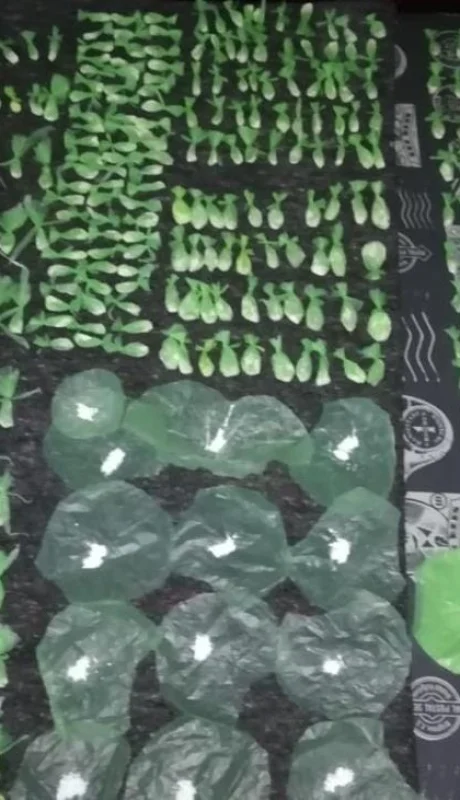 maipú-allanamientos-policiales-fotos-droga