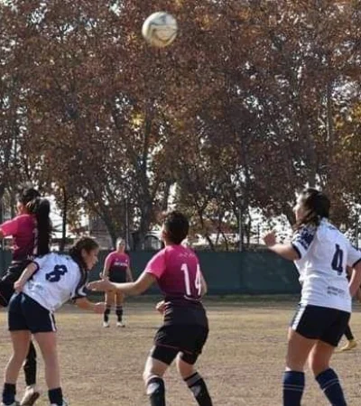 WhatsApp-Image-2019-06-06-at-01.39.36