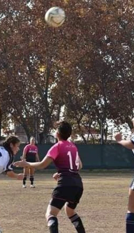 WhatsApp-Image-2019-06-06-at-01.39.36