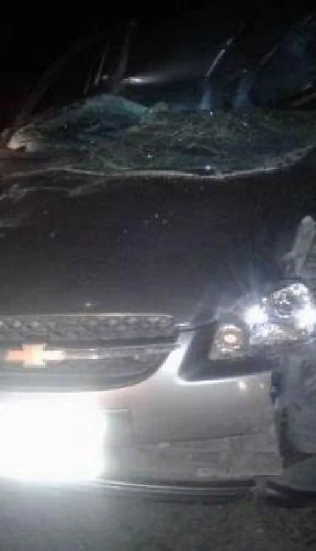 choque-caballo-tunuyán-mendoza-auto-policiales