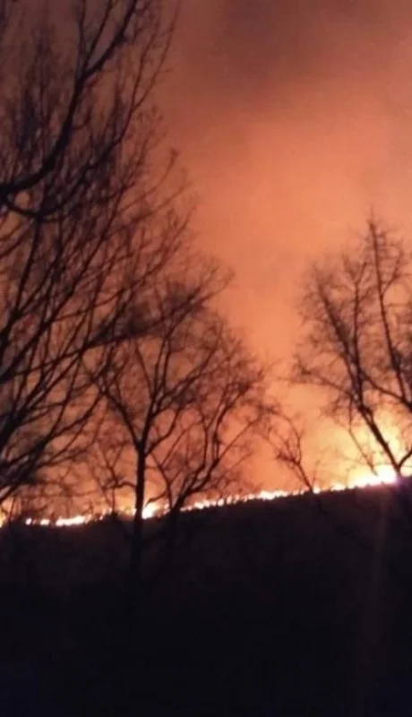 viento-zonda-incendios-distintas-zonas-de-mendoza-intransitrable-ruta-nacional-7-40-potrerillos