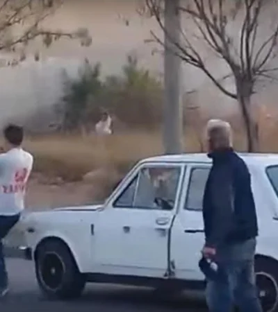 pelea-callejera-san-juan-video-piñas-