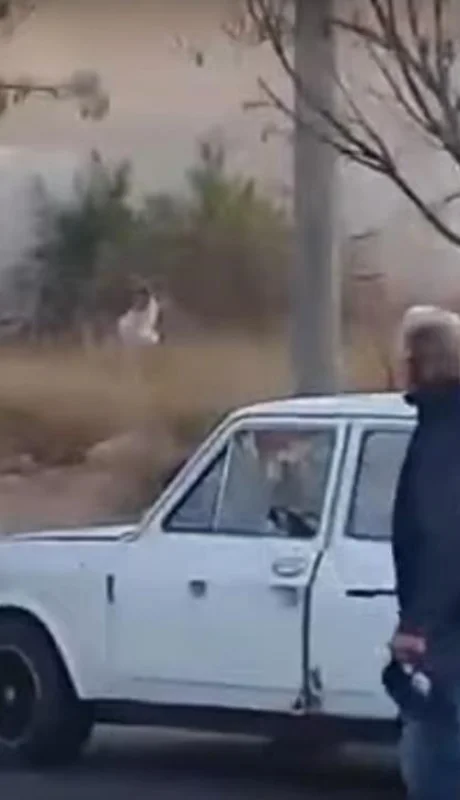 pelea-callejera-san-juan-video-piñas-