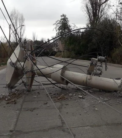 WhatsApp-Image-2019-07-22-at-10.15.07