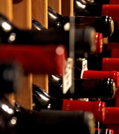 Exportación-de-vinos-mendoza