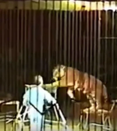 entrenador-video-foto-tigres-italia-circo