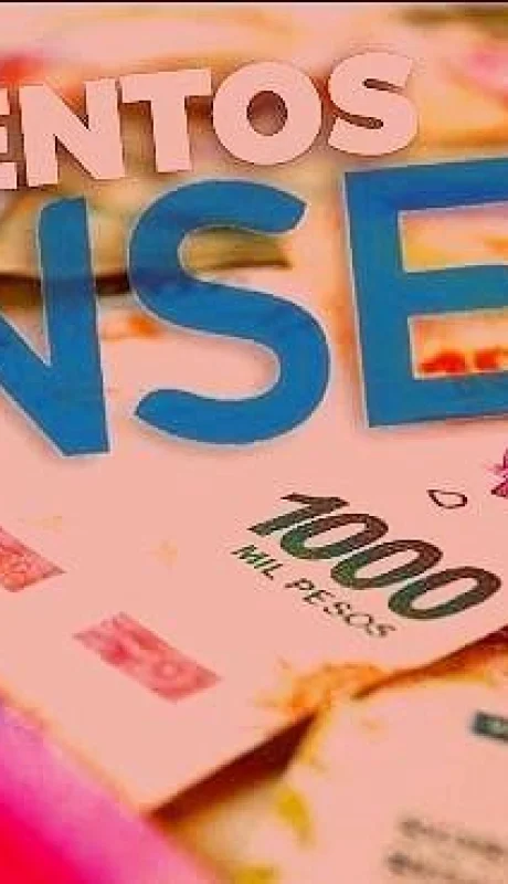 anses-aumentos-2019-suaf-jubilacion