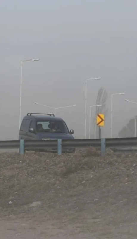 WhatsApp-Image-2019-07-21-at-14.28.25-(2)