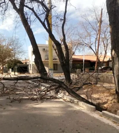 viento-zonda-incendios-distintas-zonas-de-mendoza-intransitrable-ruta-nacional-7-40-2019-