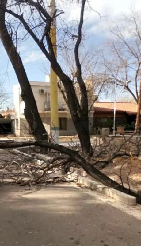 viento-zonda-incendios-distintas-zonas-de-mendoza-intransitrable-ruta-nacional-7-40-2019-