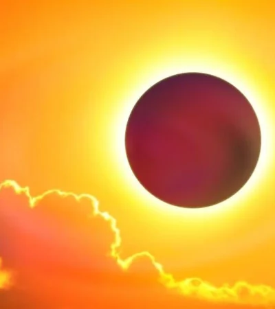 WhatsApp-Image-2019-07-02-at-11.09.43