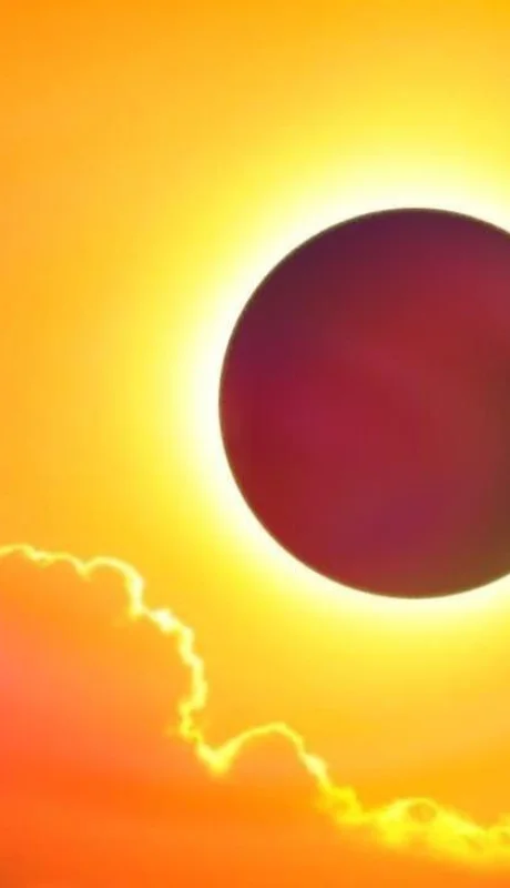 WhatsApp-Image-2019-07-02-at-11.09.43