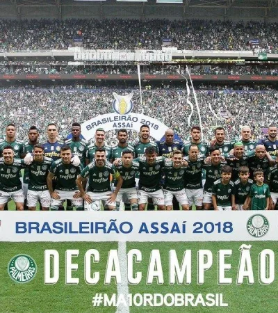 palmeiras-viento-zonda-mendoza