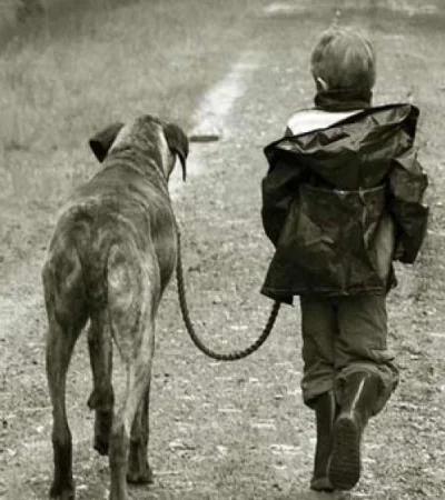 WhatsApp-Image-2019-07-09-at-17.55.36