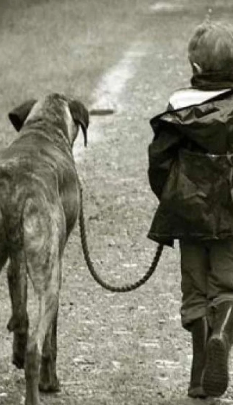 WhatsApp-Image-2019-07-09-at-17.55.36