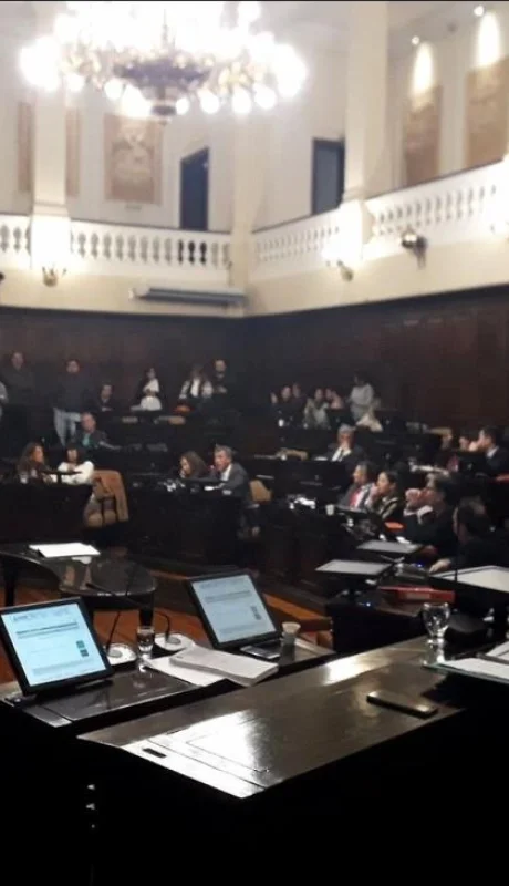 senadores-sancion-definitiva-proyecto-financiamieno-ruta-82-panamericana-bid